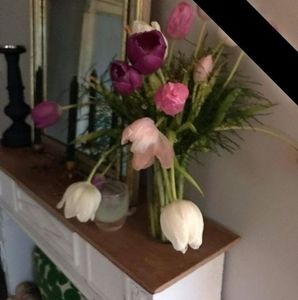 Meet your Posher, Donna